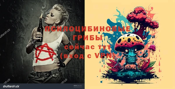 2c-b Алзамай
