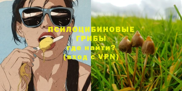 МДПВ Алексин