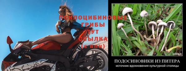 2c-b Алзамай