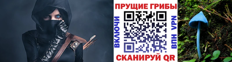 Псилоцибиновые грибы мухоморы  наркота  Светлоград 